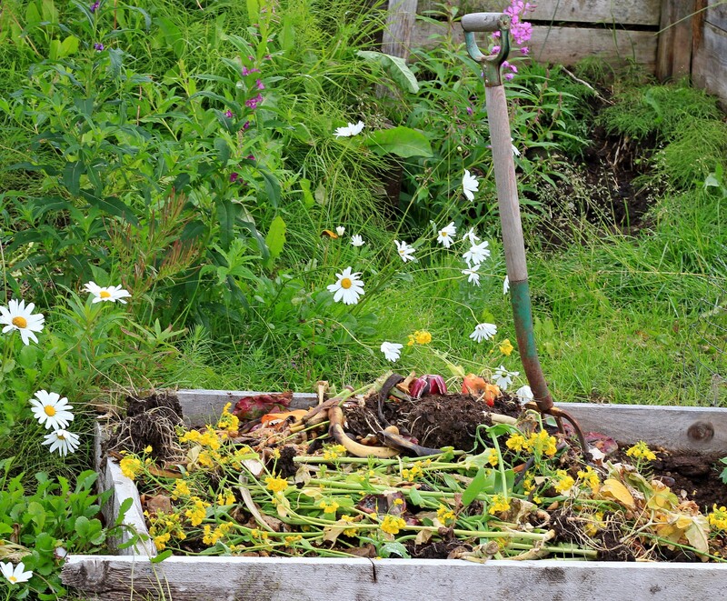 waste disposal waste collection